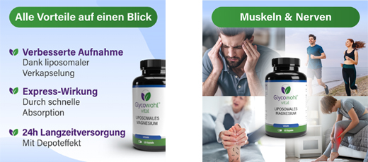 GLYCOWOHL vital lipozomální hořčík ve vysokých dávkách, 120 ks