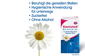 KAMISTAD Ústní sprej, 20 ml