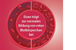 EISEN DIREKT plus vitamin C+kyselina listová+B12 v prášku, 60 ks