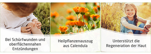 CALENDULA Mast na rány, 25 g