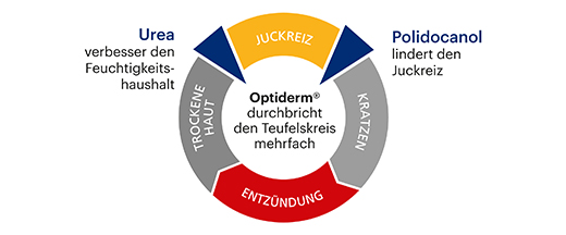 OPTIDERM Smetana, 50 g