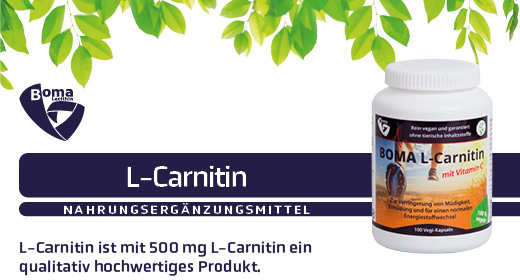 L-CARNITIN 500 kapslí, 100 ks