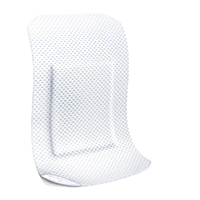LEUKOPLAST měkké bílé sádrové pásky 38x72 mm, 10 ks
