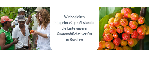 GUARANA Prášek, 100 g