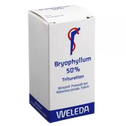 BRYOPHYLLUM 50% perorální prášek, 20 g
