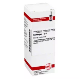 CRATAEGUS D 6 Ředění, 20 ml