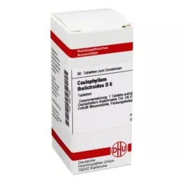 CAULOPHYLLUM THALICTROIDES D 6 tablet, 80 ks