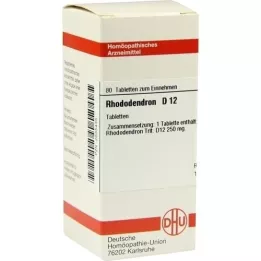 RHODODENDRON D 12 tablet, 80 ks