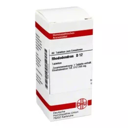RHODODENDRON D 12 tablet, 80 ks