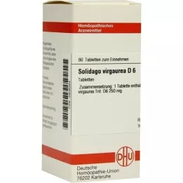 SOLIDAGO VIRGAUREA D 6 tablet, 80 ks