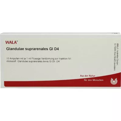 Glandulae suprarenalis GL D 4 ampule, 10X1 ml