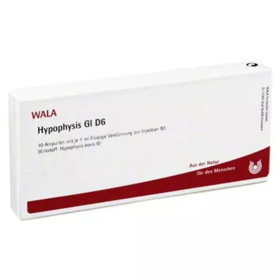 HYPOPHYSIS GL D 6 ampulí, 10X1 ml