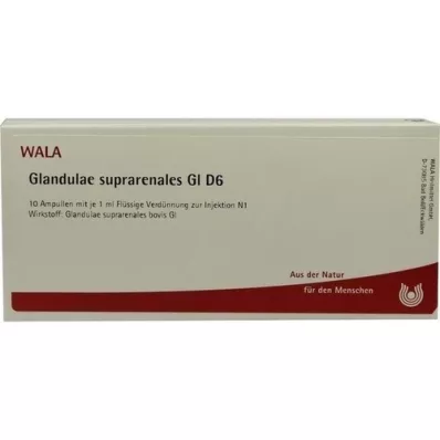 GLANDULAE SUPRARENALES GL D 6 ampulí, 10X1 ml