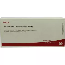 GLANDULAE SUPRARENALES GL D 6 ampulí, 10X1 ml