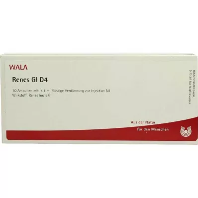Renes GL D 4 ampule, 10X1 ml