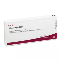 MESENCHYM GL D 6 ampulí, 10X1 ml