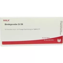 BINDEGEWEBE GL D 6 ampulí, 10X1 ml