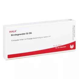 BINDEGEWEBE GL D 6 ampulí, 10X1 ml