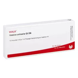 VESICA URINARIA GL D 6 ampulí, 10X1 ml