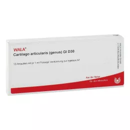 CARTILAGO rod articularis GL D 30 ampulí, 10X1 ml