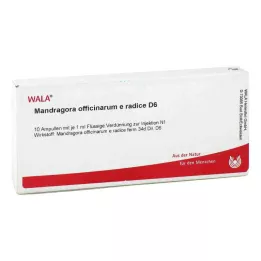 MANDRAGORA OFFICINARIUM e radice D 6 Ampulky, 10X1 ml