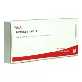 BAMBUSA E NODO D 6 ampulí, 10X1 ml