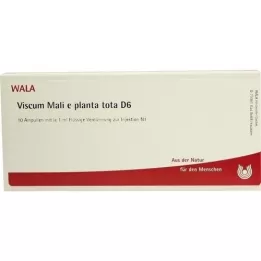 VISCUM MALI e planta tota D 6 ampulí, 10X1 ml