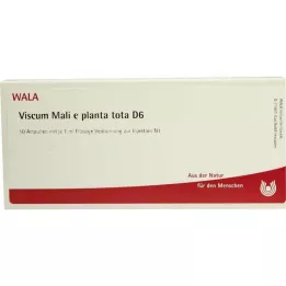 VISCUM MALI e planta tota D 6 ampulí, 10X1 ml