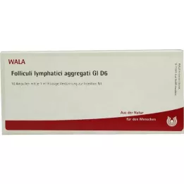 FOLLICULI LYMPHATICI agregáty GL D 6 ampulí, 10X1 ml
