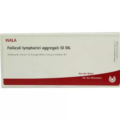 Folliculi lymphatici aggregati GL D 6 ampulí, 10X1 ml