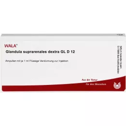 GLANDULA SUPRARENALES dextra GL D 12 ampulí, 10X1 ml