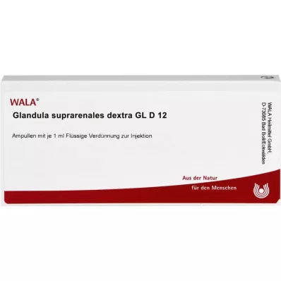 GLANDULA SUPRARENALES dextra GL D 12 ampulí, 10X1 ml