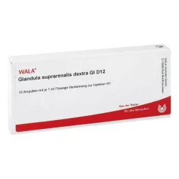 GLANDULA SUPRARENALES dextra GL D 12 ampulí, 10X1 ml