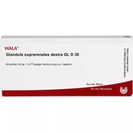 GLANDULA SUPRARENALES dextra GL D 30 ampulí, 10X1 ml