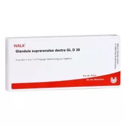 GLANDULA SUPRARENALES dextra GL D 30 ampulí, 10X1 ml