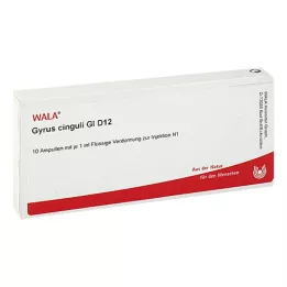 GYRUS cinguli GL D 12 ampulí, 10X1 ml
