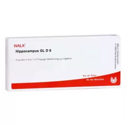 HIPPOCAMPUS GL D 6 ampulí, 10X1 ml