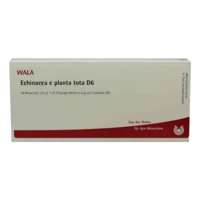ECHINACEA E planta tota D 6 ampulí, 10X1 ml