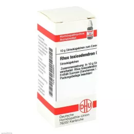 RHUS TOXICODENDRON C 200 globulí, 10 g