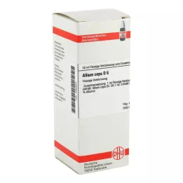 ALLIUM CEPA D 6 Ředění, 50 ml