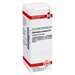 EQUISETUM ARVENSE D 6 Ředění, 20 ml