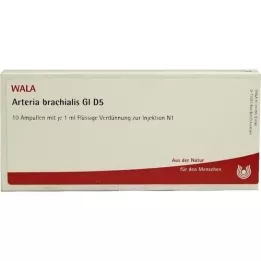 ARTERIA BRACHIALIS GL D 5 ampulí, 10X1 ml