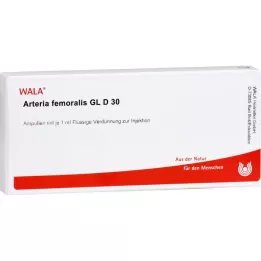 ARTERIA FEMORALIS GL D 30 ampulí, 10X1 ml