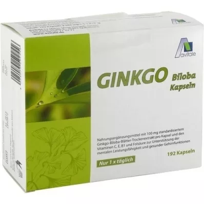 GINKGO 100 mg kapsle+B1+C+E, 192 ks
