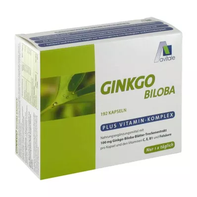 GINKGO 100 mg kapsle+B1+C+E, 192 ks