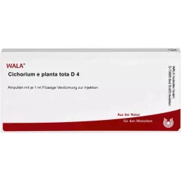 CICHORIUM E planta tota D 4 ampule, 10X1 ml