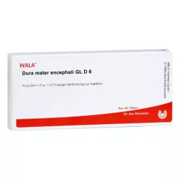 DURA MATER encephali GL D 6 ampulí, 10X1 ml