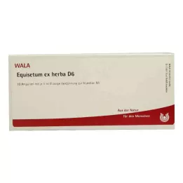 EQUISETUM EX Herba D 6 ampulí, 10X1 ml