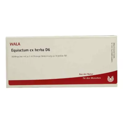 EQUISETUM EX Herba D 6 ampulí, 10X1 ml