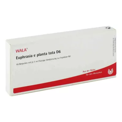 EUPHRASIA E planta tota D 6 ampulí, 10X1 ml